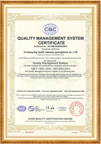 人生就是博ISO9001（英文）
